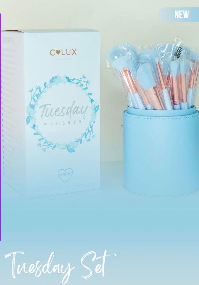 Clux Cosmetics Tuesday Brushes 24 pc set
